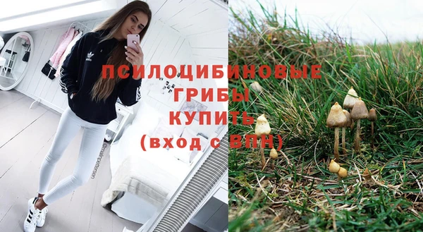 МДПВ Гусев