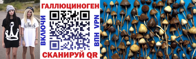 Галлюциногенные грибы мухоморы  Купить где  Кизел 