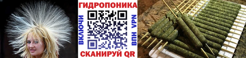 Купить где  Кизел  Каннабис гибрид 